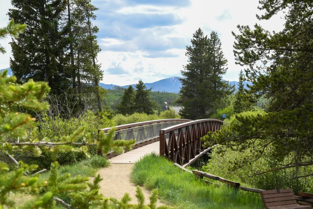A tranquil setting featuring a wooden bridge surrounded by lush greenery and a picturesque mountain backdrop. The area is ideal for walking and nature observation, offering an inviting environment for guests to explore local trails with their pets.